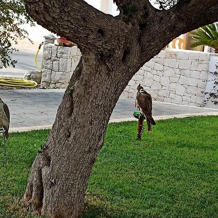 Ferienwohnung I Cinque Ulivi Alberobello Exterior foto