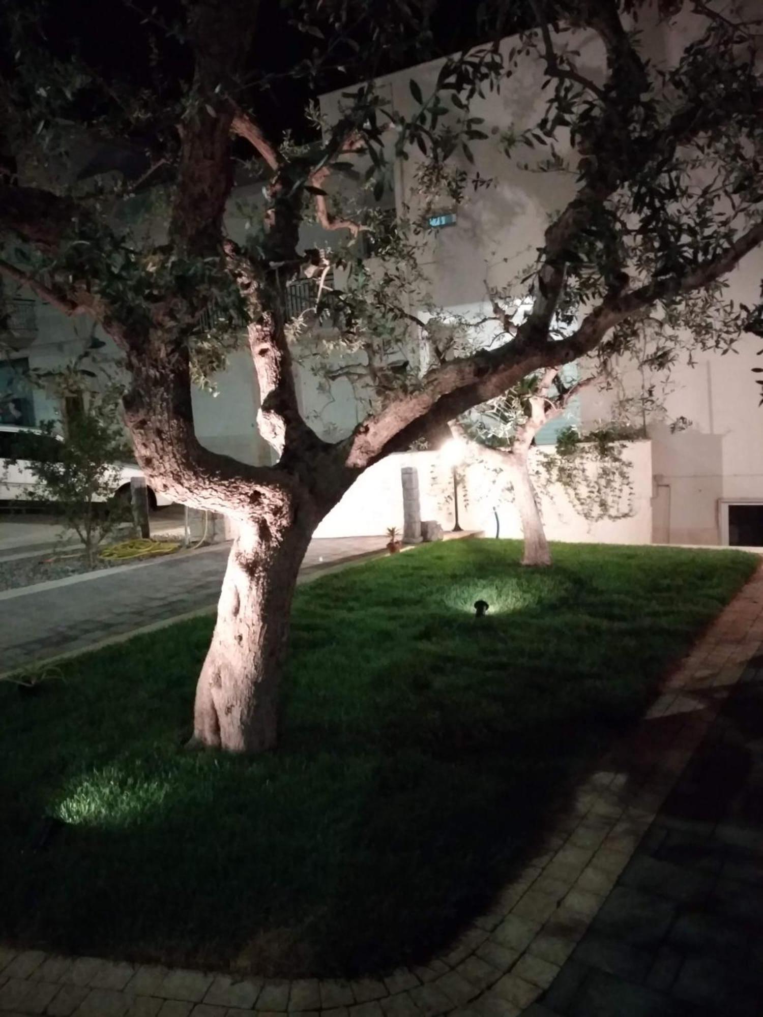 Ferienwohnung I Cinque Ulivi Alberobello Exterior foto